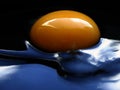 Extreme eggs series IX Royalty Free Stock Photo