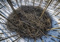 Giant Natural Nest Structure Made of Interwoven Branches in Winter Forest. Royalty Free Stock Photo