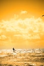 Extreme kite surfer jumping waves