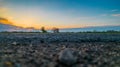 Extreme low angle sunset in dramatic sky over asphalt road Royalty Free Stock Photo