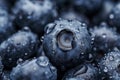 Extreme macro blueberries background.