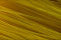 Extreme macro of bristles of a paint brush. Royalty Free Stock Photo