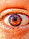 Extreme macro close-up of a human brown eye with detailed iris texture, sharp eyelashes, and high-resolution realism. Royalty Free Stock Photo