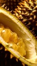 Extreme Macro Close-Up of a Juicy Durian Slice AI Generated