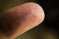 An extreme macro closeup of a fingertip