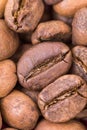 Extreme macro coffee beans background Royalty Free Stock Photo