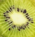 Extreme macro kiwi