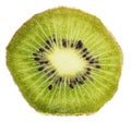 Extreme macro kiwi