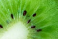 Extreme macro kiwi fruit pieces pattern with selective focus, top view. Fresh juicy food Royalty Free Stock Photo