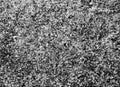 Grunge halftone noise texture macro print with crosshatch pattern Royalty Free Stock Photo