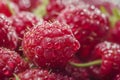 Extreme macro raspberry background. with water drops