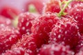 Extreme macro raspberry background. with water drops