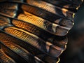 Extreme macro shot of butterfly wing scales texture