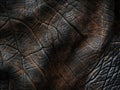 Extreme macro shot of elephant hide texture Royalty Free Stock Photo