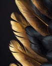 Extreme macro shot of feather barbs of a bald eagle texture