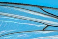 Extreme magnification - Fly wing details Royalty Free Stock Photo