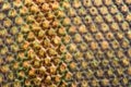 Extreme magnification - Horse fly compound eye under the microscope Royalty Free Stock Photo