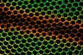 Extreme magnification - Horse fly compound eye under the microscope