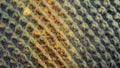 Extreme magnification - Horse fly dried compound eye under the microscope Royalty Free Stock Photo