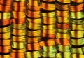 Extreme magnification - Sunset moth wing scales