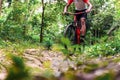 Extreme Mountain Biking, Cyclist ride on MTB trails in the Green Forest with Mountain Bike, Outdoor sports activity fun and enjoy Royalty Free Stock Photo