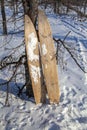 Extreme north, Yamal, pastures of the Nenets, dwellings of the peoples of the north, homemade skis for hunting