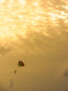 extreme Parachute on the golden sky at afternoon. outdoor