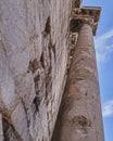 Extreme perspective of Hadrian's library column