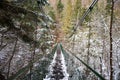 Extreme rope bridge over Hornad River in Slovak Paradise