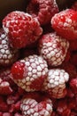 Extreme shallow depth of field. Selective focus of Bunch of Frozen rasberries macro shot kept together in a bowl