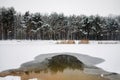 Extreme swimming in an ice-hole in forest. Winter swimming.