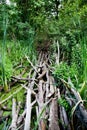 Extreme tropical path bridge via guag mire morass backwater with