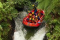 Extreme Whitewater Rafting