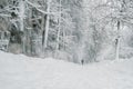 Extreme Wide Shot with a snowy road, trees and the figure of a walking man in the middle in the distance. Blizzard Royalty Free Stock Photo