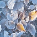 Extreme winter beauty Frost covered leaves in a tranquil snowy setting Royalty Free Stock Photo
