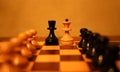 Extremely beautiful and interesting chess scenes Royalty Free Stock Photo