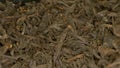 extremely close-up, detailed. green leaf tea. background food