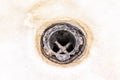Extremely dirty bath drain mesh, hole covered with limescale or lime scale and rust close up, cleaning calcified and rusty