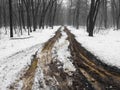 Extremely dirty muddy road i Royalty Free Stock Photo