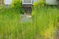 An extremely Overgrown grass lawn in front of a home or cottage in need of trimming and cutting