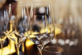 Extrime closeup of empty champagne glasses in a row. Wine goblet at wedding reception, alcohol bar, catering in restaurant Royalty Free Stock Photo