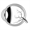 Extrinsic Muscles Eye, Human Eyeball. Flat Vector Icon illustration.