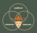 Extrovert, introvert and ambivert metaphor