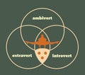 Extrovert, introvert and ambivert metaphor