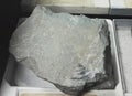 Andesite breccia extrusive igneous rocks