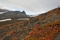 Extrusive rock called Camel located on Avachinsky Pass