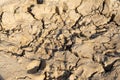 exture of dry and dehydrated ground surface with cracks.
