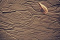 Exture of wet sea sand with patterns of water close up Royalty Free Stock Photo