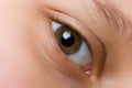 Eye Royalty Free Stock Photo