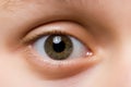 Eye Royalty Free Stock Photo